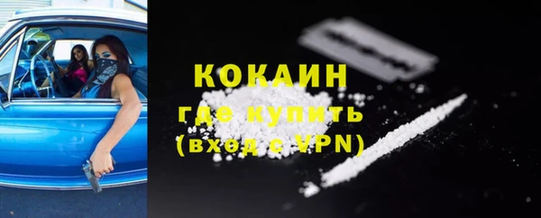 ALPHA-PVP Каменка