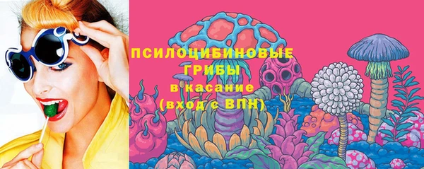 гидропоника Каменногорск