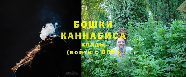гидропоника Каменногорск
