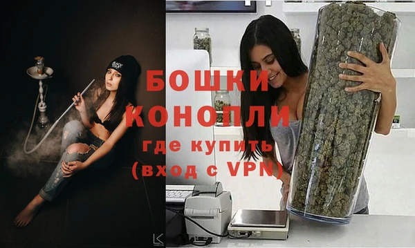 гидропоника Каменногорск