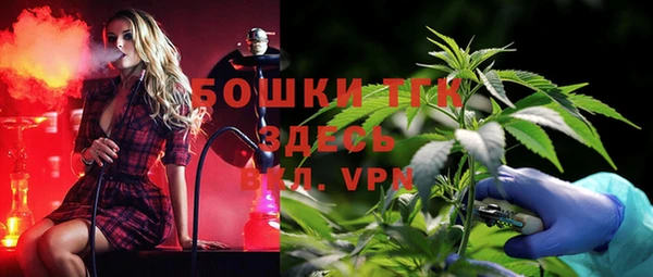 ALPHA-PVP Каменка