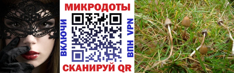 Купить закладки  Лукоянов  Галлюциногенные грибы GOLDEN TEACHER 
